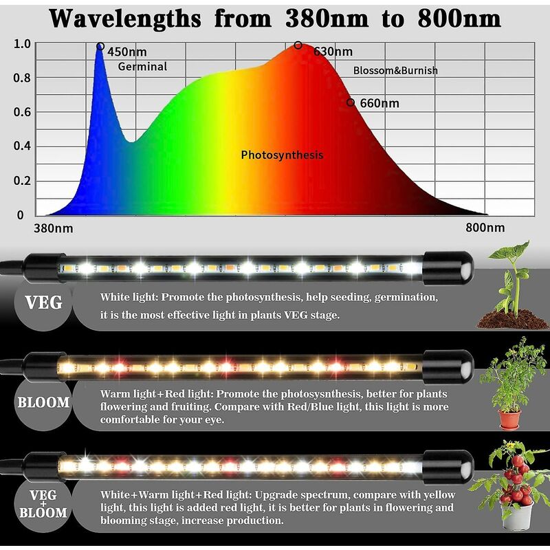 Plant Grow Light