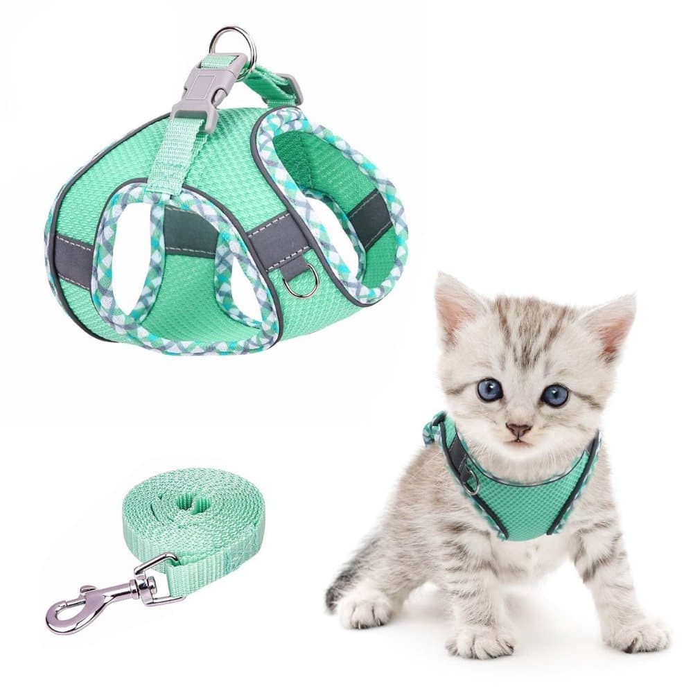 Adjustable Dog and Cat Harness with Leash Reflective Soft Secure Fit, L, Green