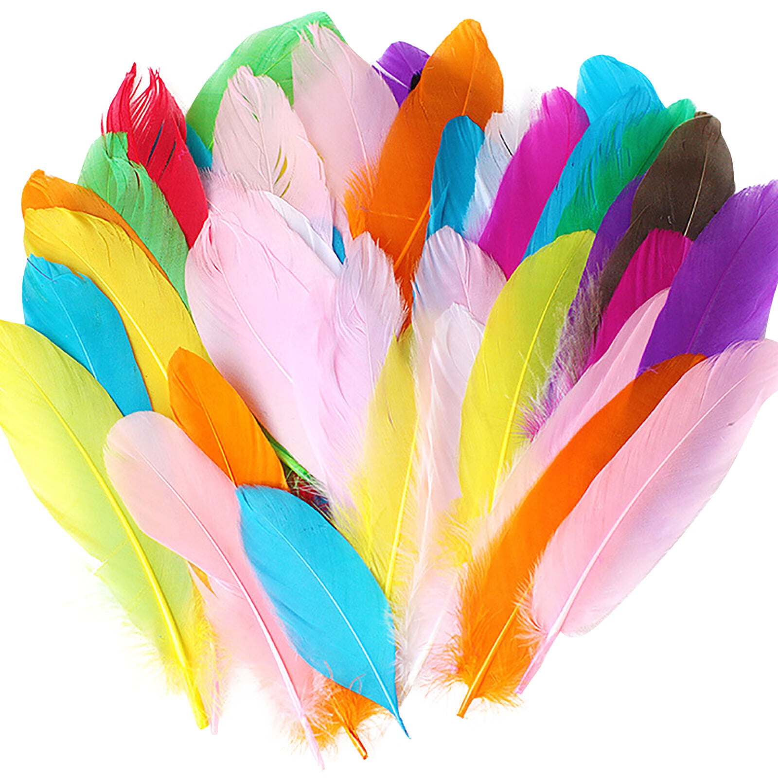 Coopserbil DIY Natural Colourful Craft Feathers (50 Count) One Size Colourful Coopserbil DIY Natural Colourful Craft Feathers (50 Count) One Size Colourful