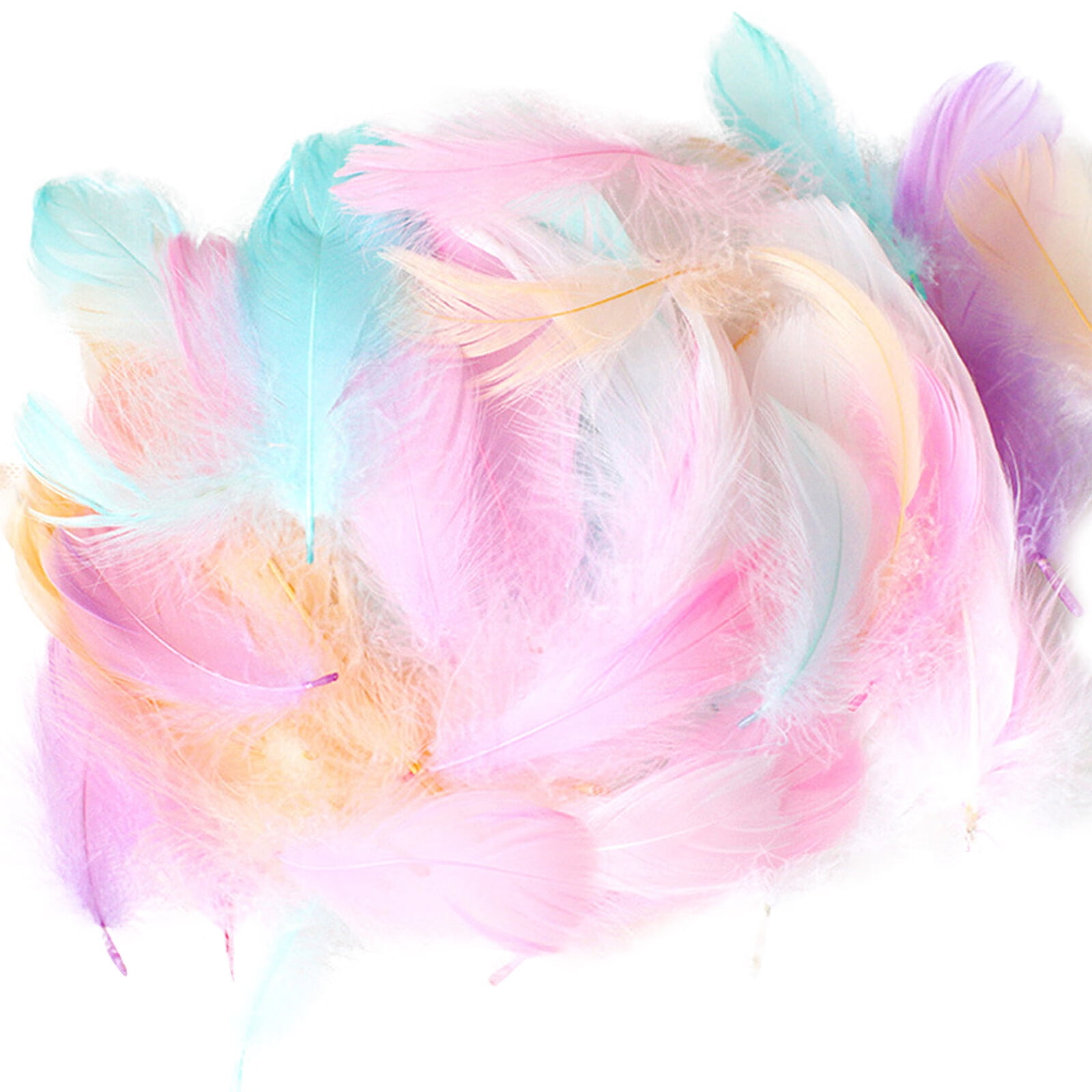 Coopserbil DIY Natural Colourful Craft Feathers (50 Count) 5.0-15.0 cm Natural Colourful Coopserbil DIY Natural Colourful Craft Feathers (50 Count) 5.0-15.0 cm Natural Colourful