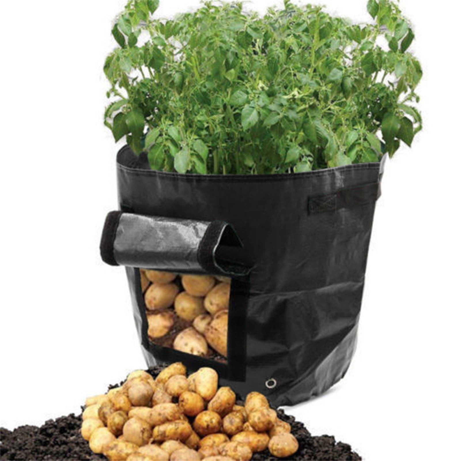 Suncoda Summer Savings 34x35cm Potato Grow Bag with Side Window & Handles 14" x 20" Black#4