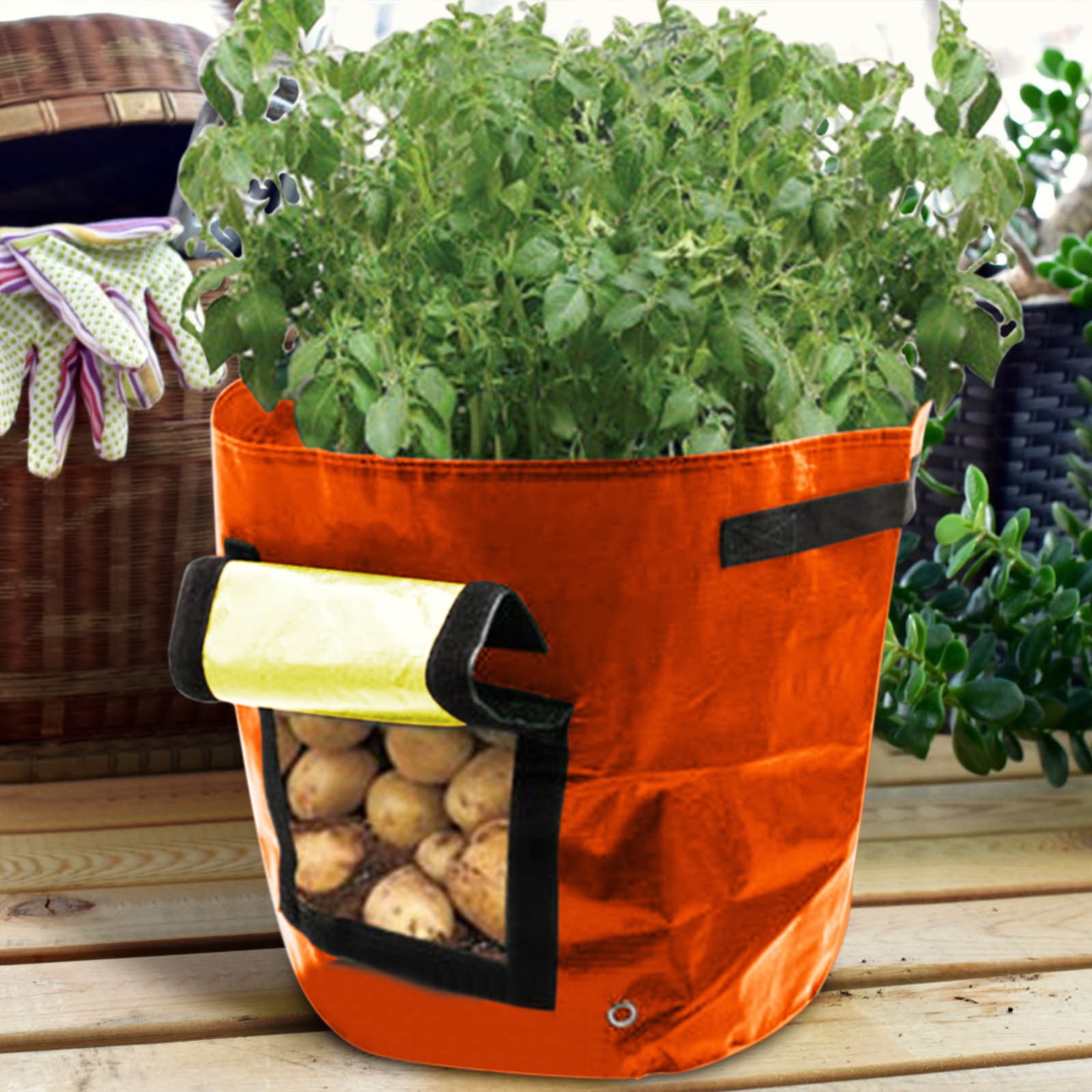 Suncoda Summer Savings 34x35cm Potato Grow Bag with Side Window & Handles 13" x 14" Gray#1