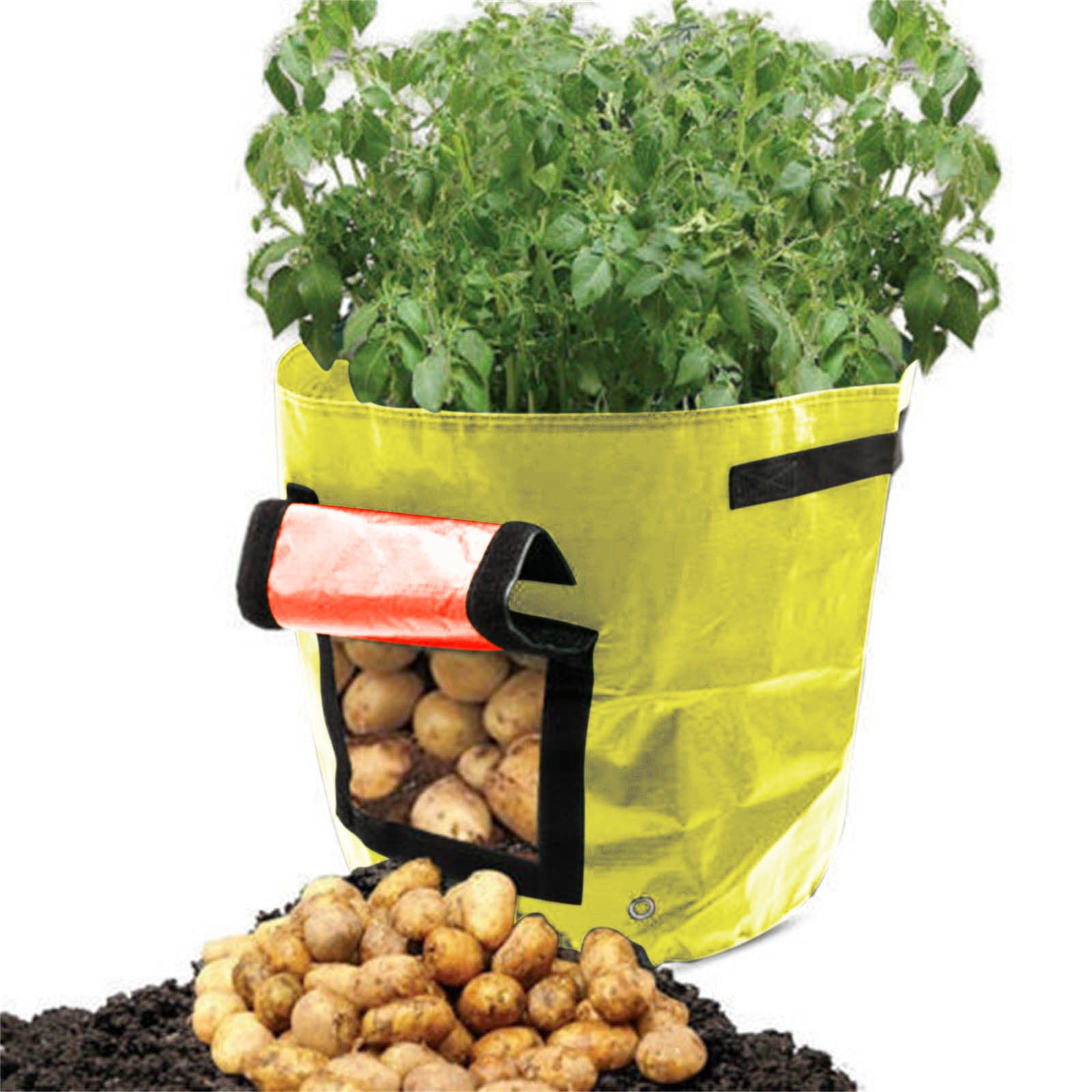 Suncoda Summer Savings 34x35cm Potato Grow Bag with Side Window & Handles 12" x 14" Gray#2 Suncoda Summer Savings 34x35cm Potato Grow Bag with Side Window & Handles 12" x 14" Gray#2