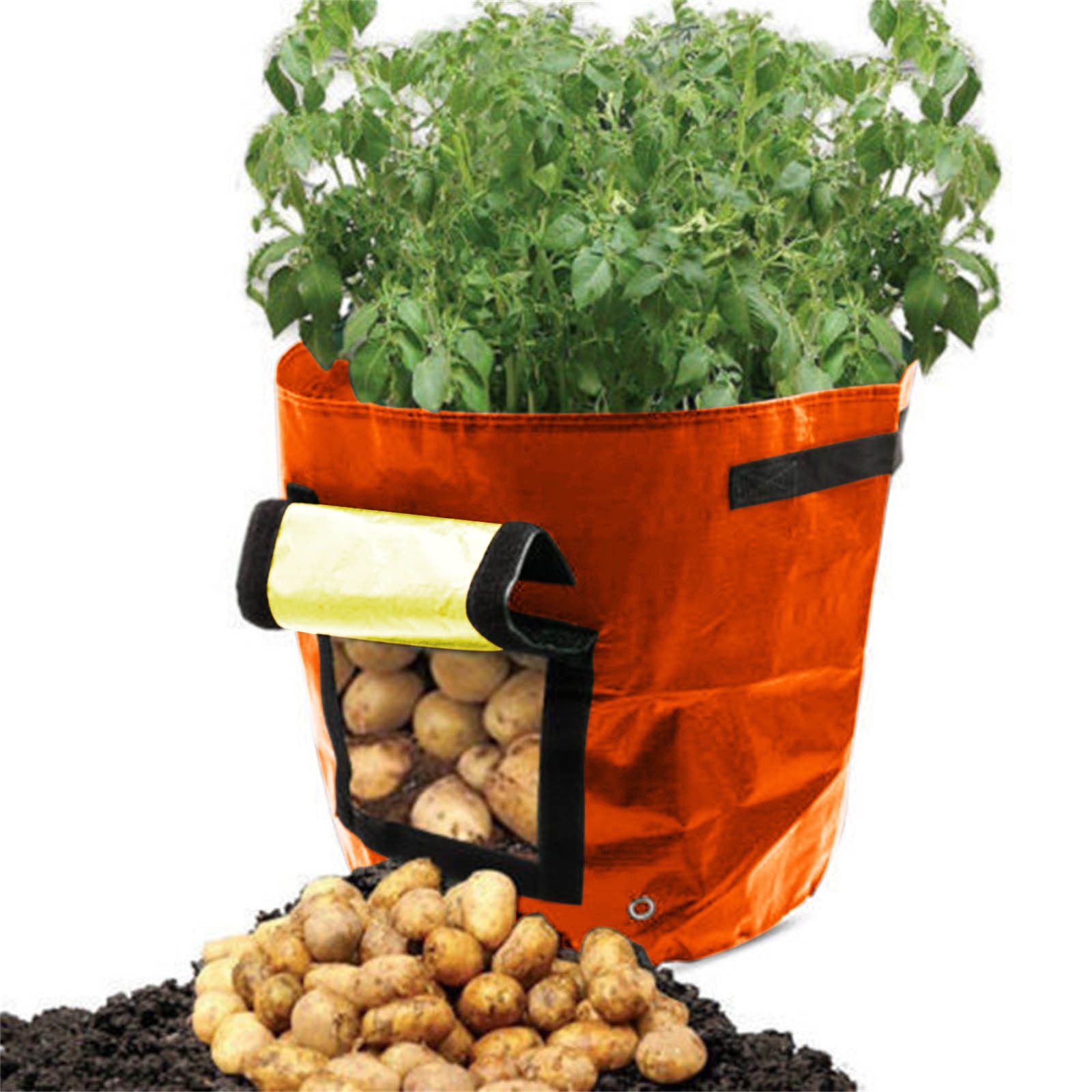 Suncoda Summer Savings 34x35cm Potato Grow Bag with Side Window & Handles 13" x 14" Orange#1 Suncoda Summer Savings 34x35cm Potato Grow Bag with Side Window & Handles 13" x 14" Orange#1