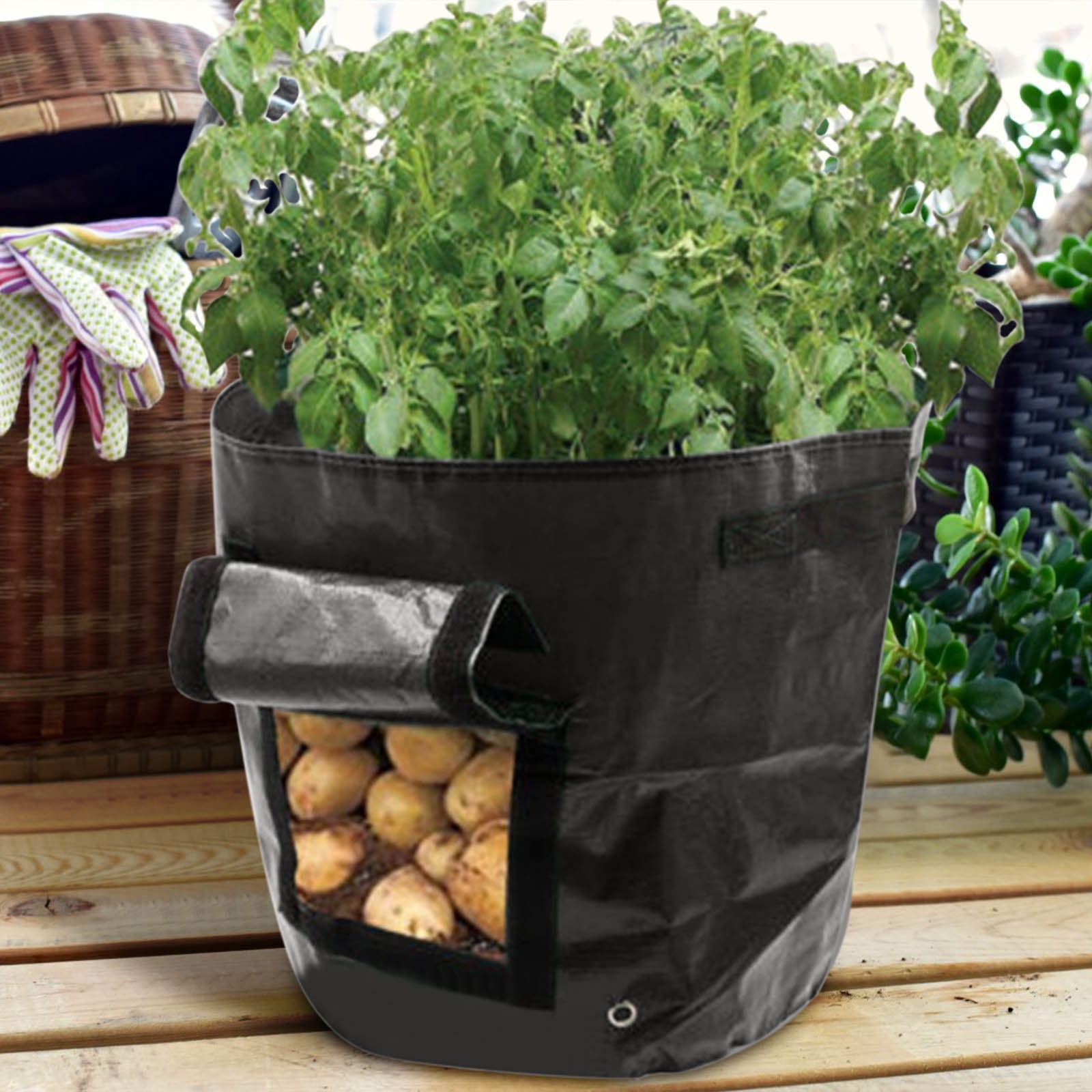Suncoda Summer Savings 34x35cm Potato Grow Bag with Side Window & Handles 14" x 20" Yellow#4 Suncoda Summer Savings 34x35cm Potato Grow Bag with Side Window & Handles 14" x 20" Yellow#4