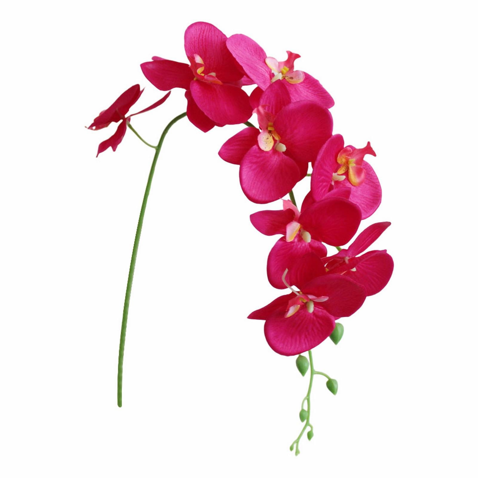 LGCASL Flowers Faux Butterfly Orchid 1 Pc Real Double Branch Silk Flowers for Wedding Home Office Party Hotel Yard Decoration Restaurant Patio Festive Furnishing LGCASL Flowers Faux Butterfly Orchid 1 Pc Real Double Branch Silk Flowers for Wedding Home Office Party Hotel Yard Decoration Restaurant Patio Festive Furnishing