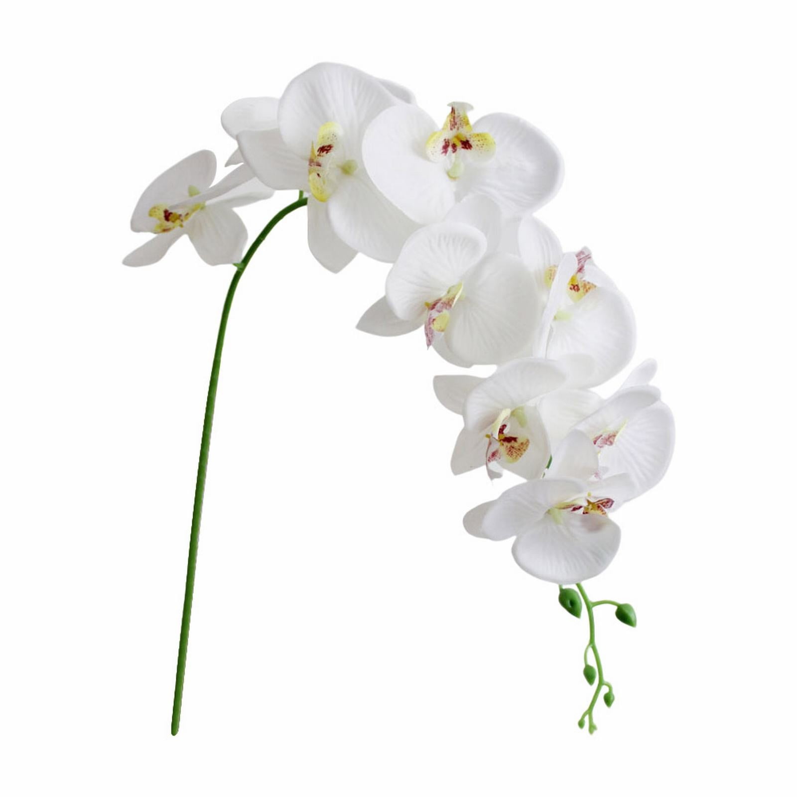 LGCASL Flowers Faux Butterfly Orchid 1 Pc Real Double Branch Silk Flowers for Wedding Home Office Party Hotel Yard Decoration Restaurant Patio Festive Furnishing LGCASL Flowers Faux Butterfly Orchid 1 Pc Real Double Branch Silk Flowers for Wedding Home Office Party Hotel Yard Decoration Restaurant Patio Festive Furnishing