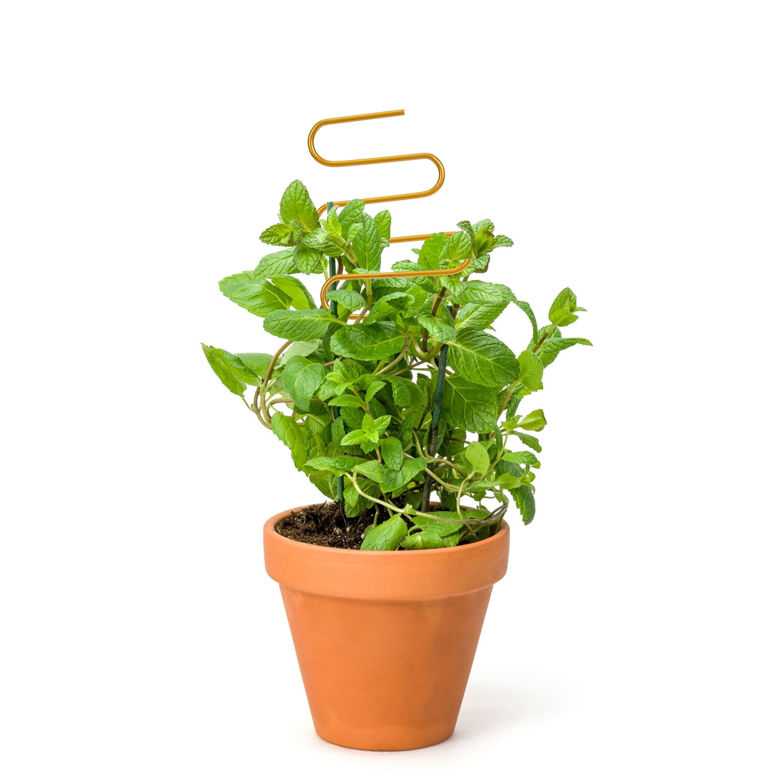 SWETRACE 2Pcs Curved Shape Iron Garden Trellis for Indoor Potted Plants Home Decorative Support 13.4x4.1in