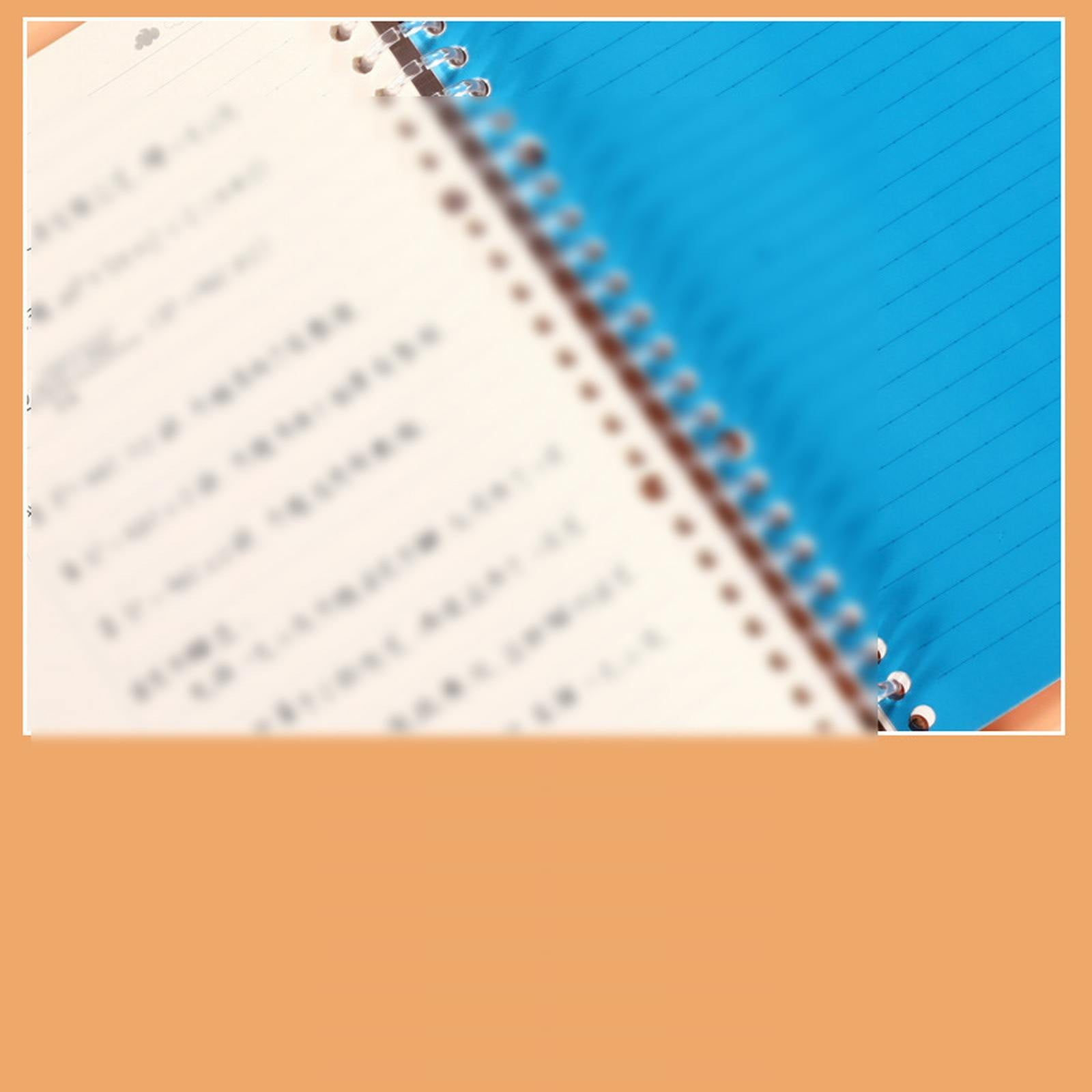 4Pcs/1Set- 4 Tab Binder Dividers with Tabs