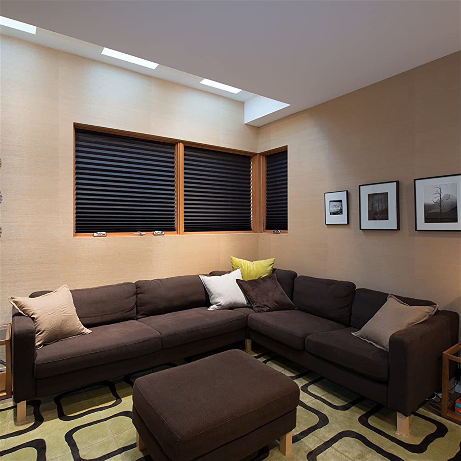 1 Pack Sunshade Shades