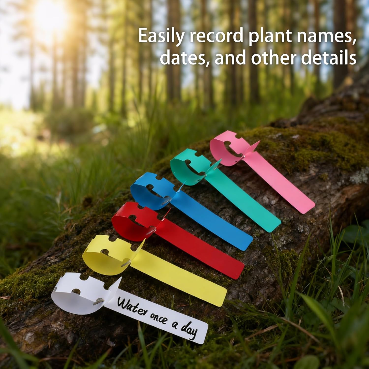 Plant labels - Plant stakes - Stick labels - Loop labels - Plant labels - Tree labels - Vegetable garden - Garden items - Growing supplies - Label strips - Wrap labels - Plant signs - Name tags - Hanging labels - Multi-colored - 600 pieces