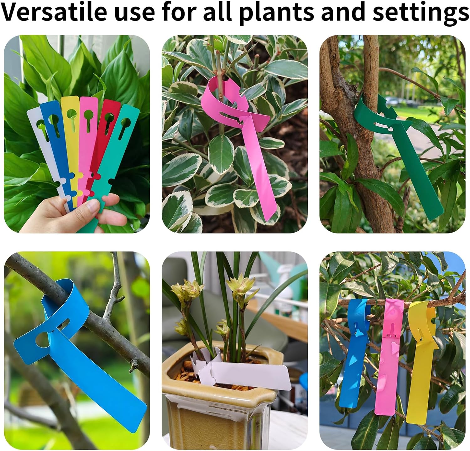Plant labels - Plant stakes - Stick labels - Loop labels - Plant labels - Tree labels - Vegetable garden - Garden items - Growing supplies - Label strips - Wrap labels - Plant signs - Name tags - Hanging labels - Multi-colored - 600 pieces
