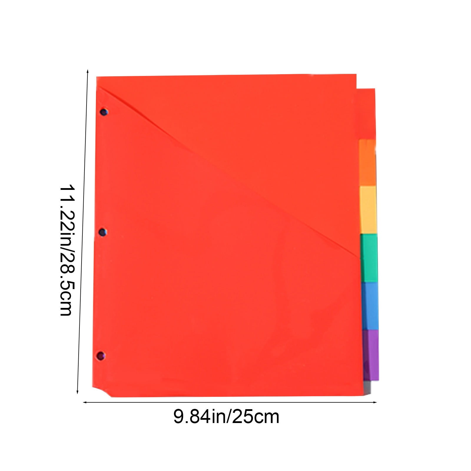 Durable Multicolor 3-Ring Binder
