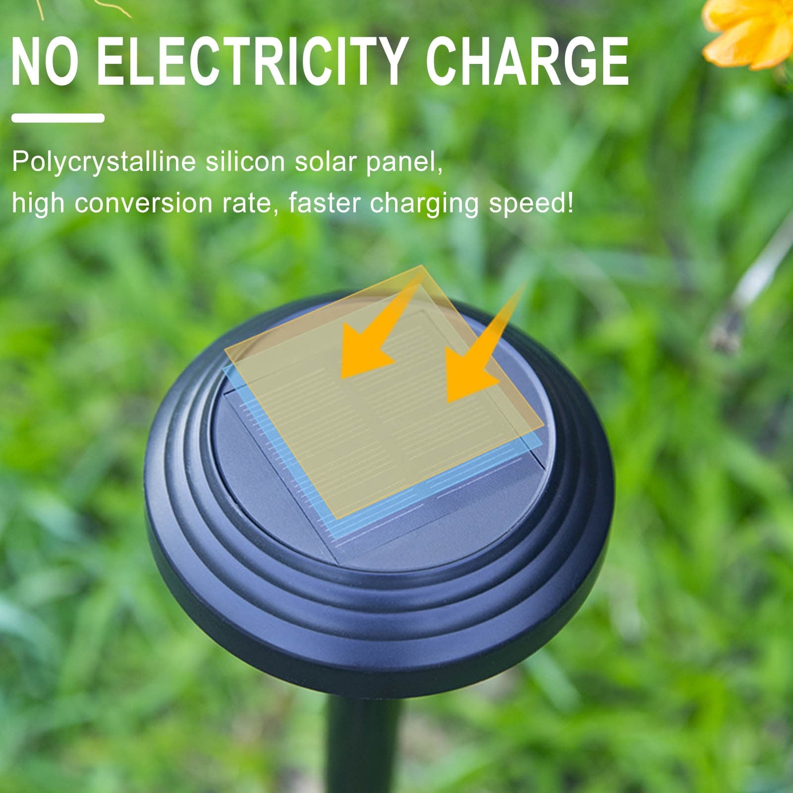 Darzheoy Solar Outdoor Lights