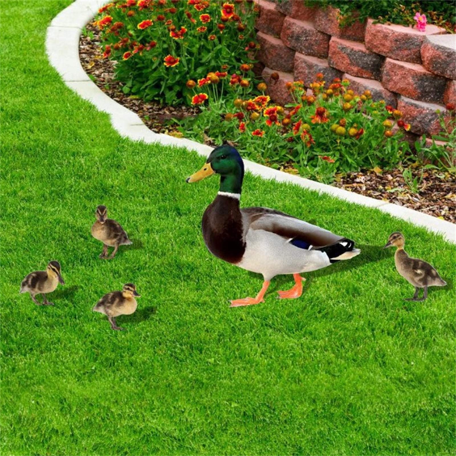 Darzheoy 5Pcs Garden Duck Stakes