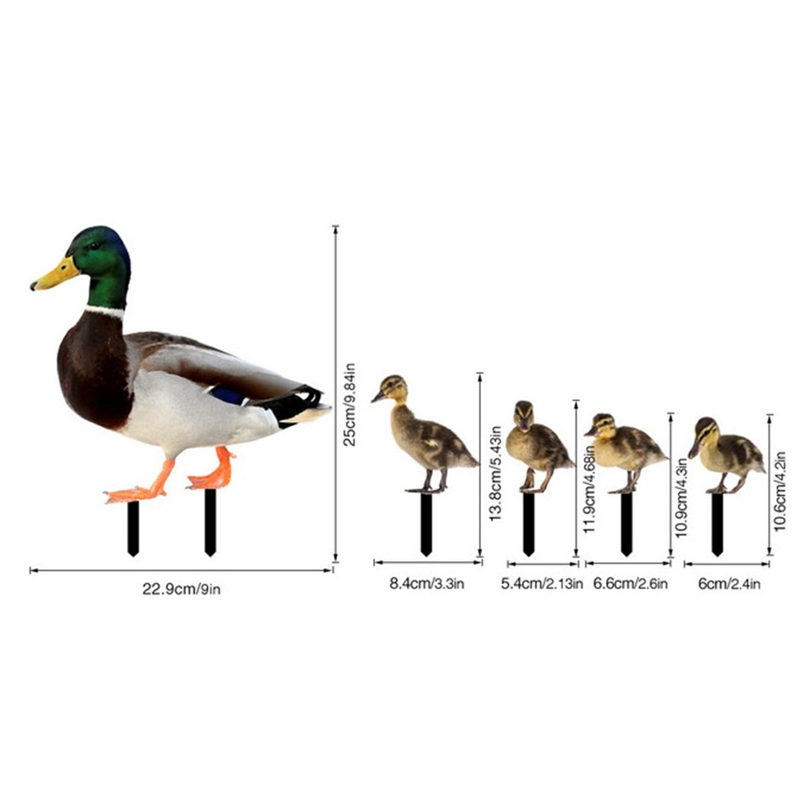 Darzheoy 5Pcs Garden Duck Stakes