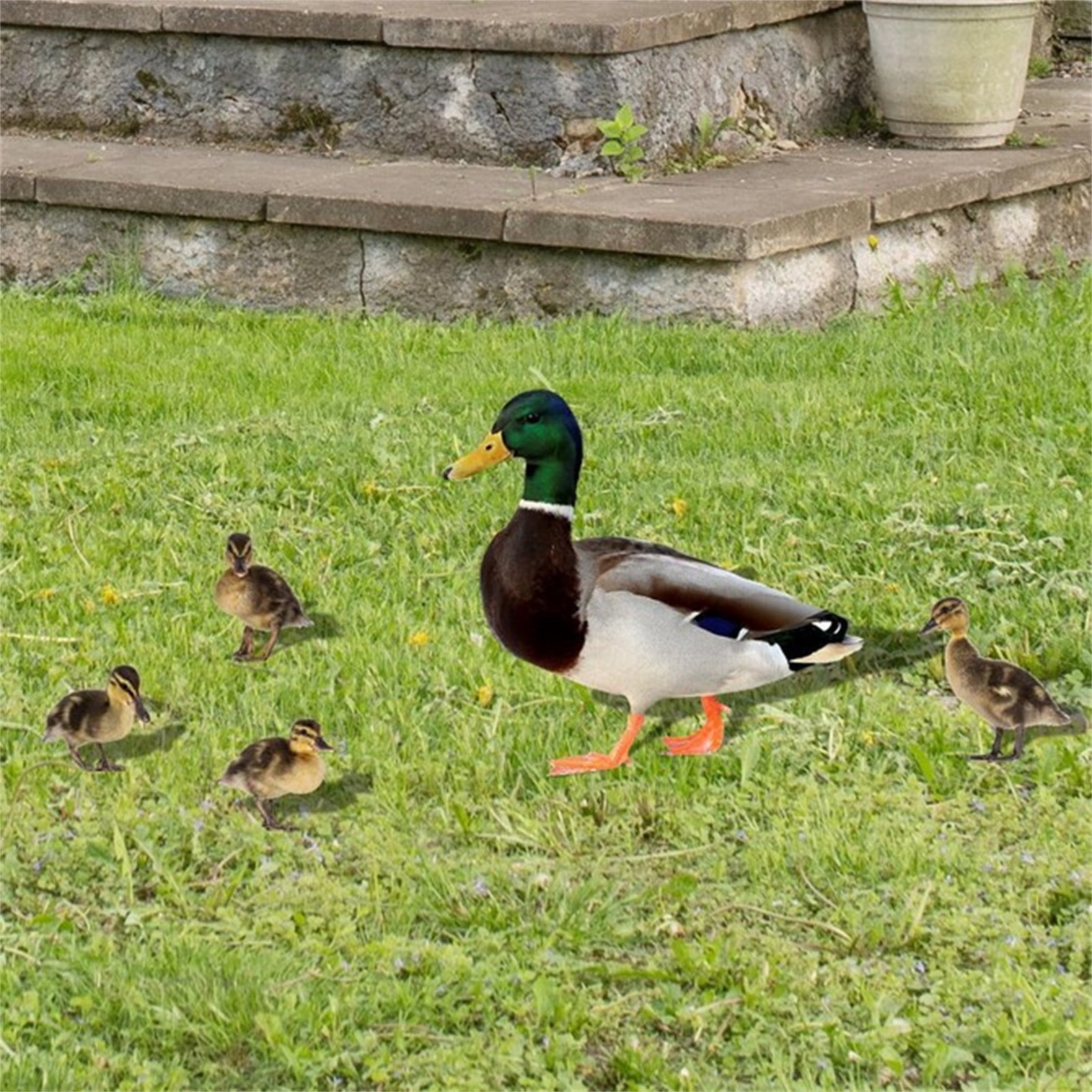 Darzheoy 5Pcs Garden Duck Stakes