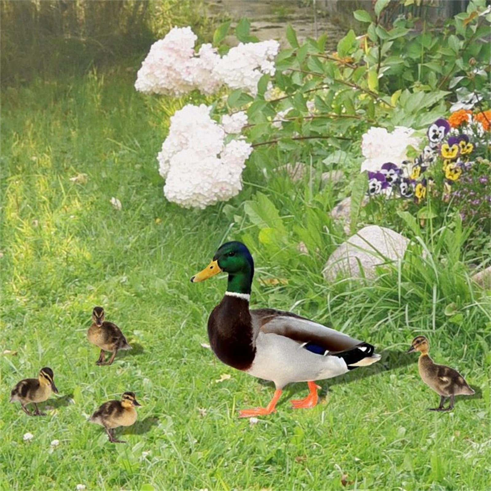 Darzheoy 5Pcs Garden Duck Stakes