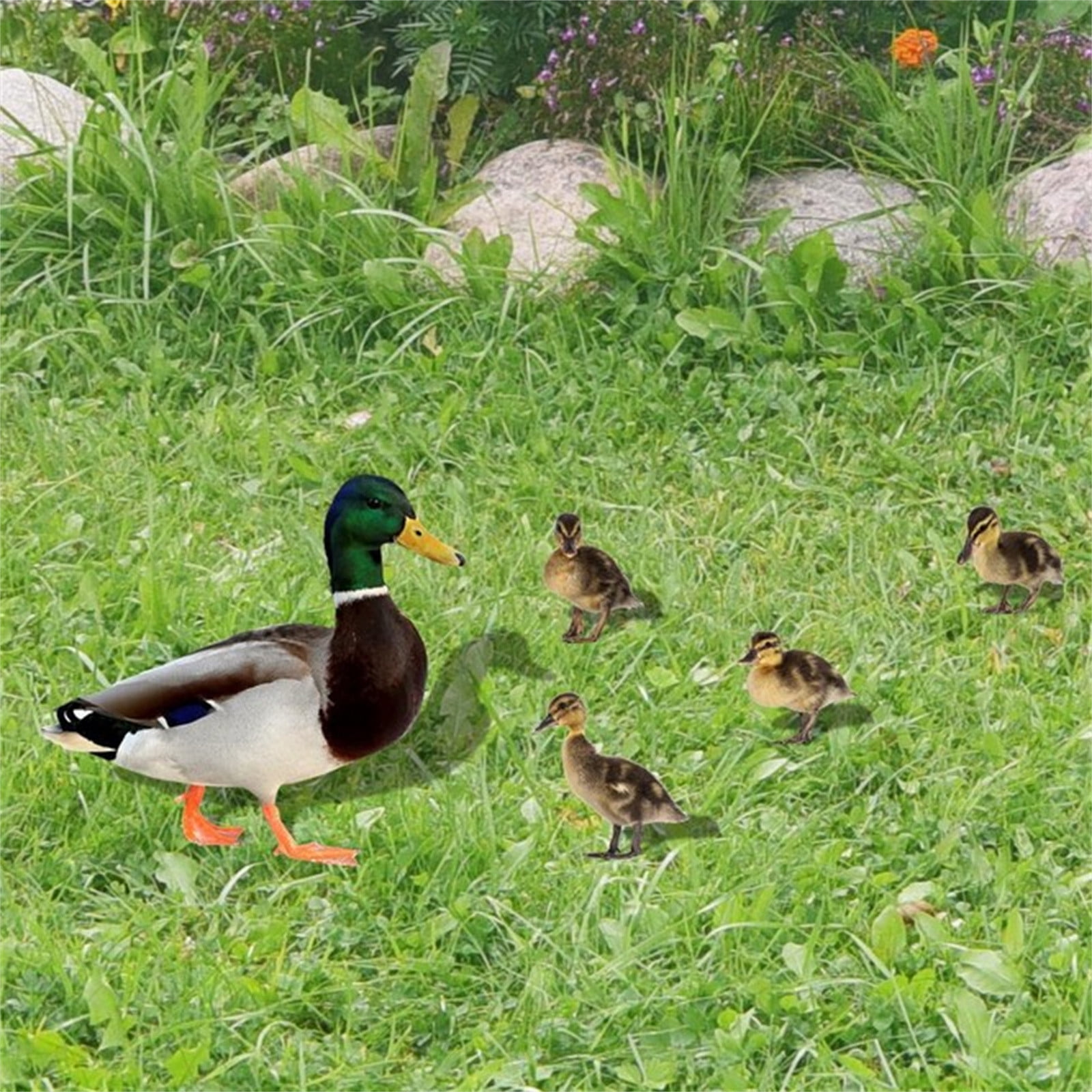 Darzheoy 5Pcs Garden Duck Stakes