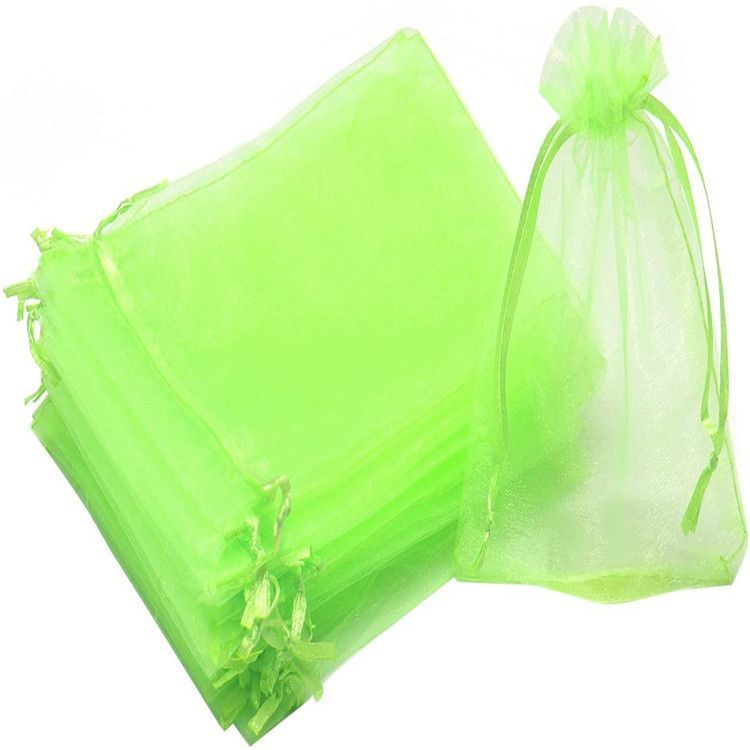 AppleGreenInsect-ProofMeshBags,20-Pack