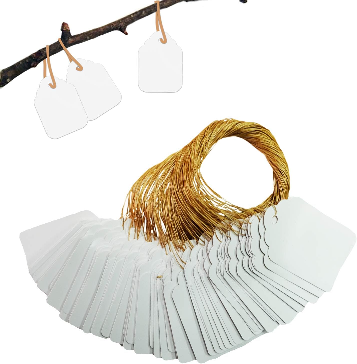 Plant Hanging Tags 100pcs Tags with String Reusable Plant Labels Markers Plastic Garden Signs Garden Markers for Outdoor (2 Inch Plant Hanging Tags 100pcs Tags with String Reusable Plant Labels Markers Plastic Garden Signs Garden Markers for Outdoor (2 Inch