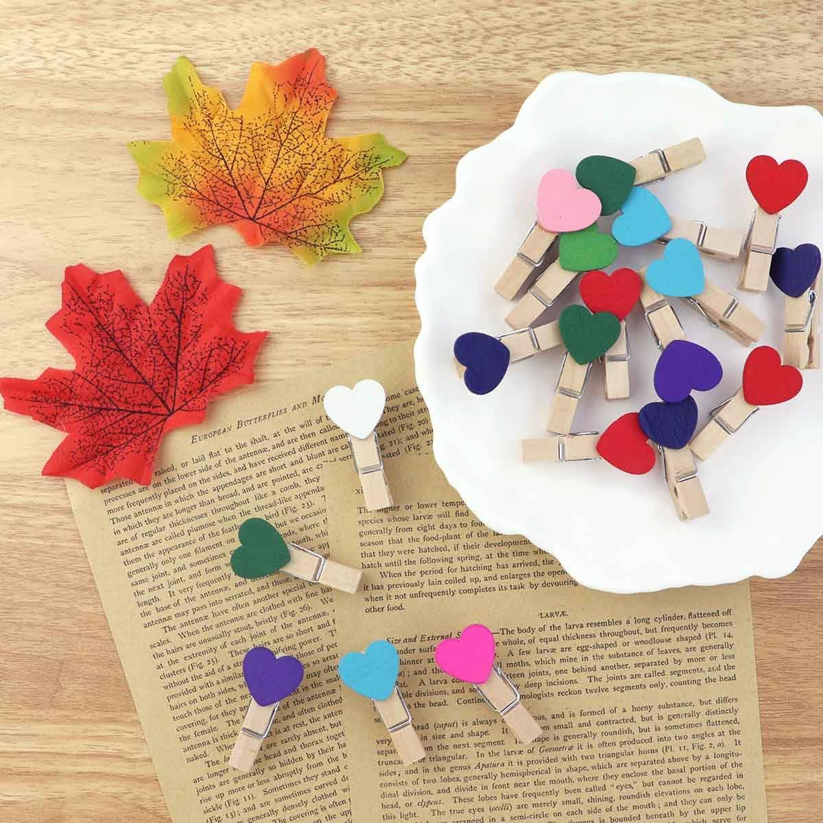 80 Pieces Wooden Heart Clothespins Mini Photo Clips Colorful Small Clothes Pins for Crafts Picture Paper Hanging Natural with Jute Twine Wedding Party Photos Display Color Type a