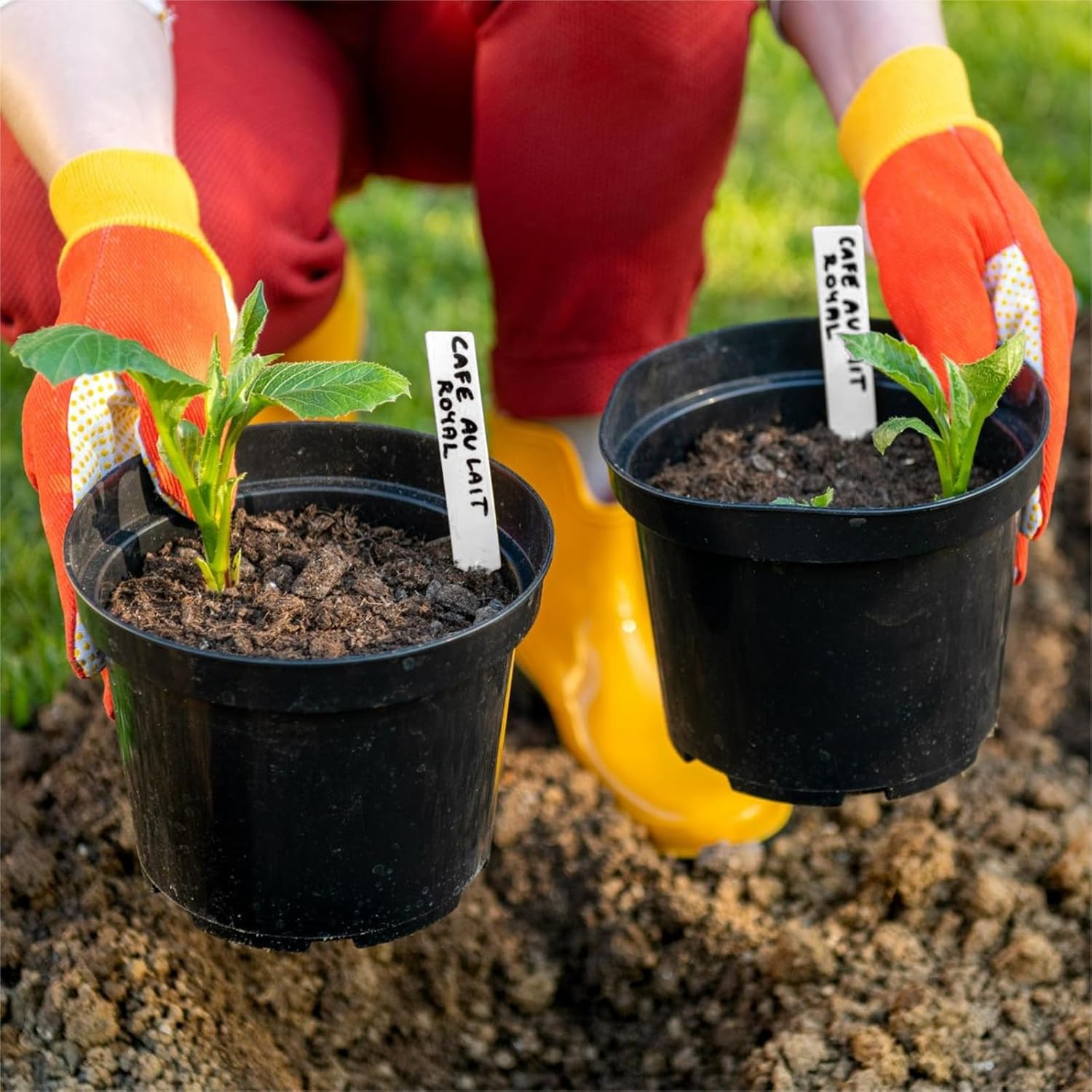 300Pcs 4" Plant Labels with Marker Pen