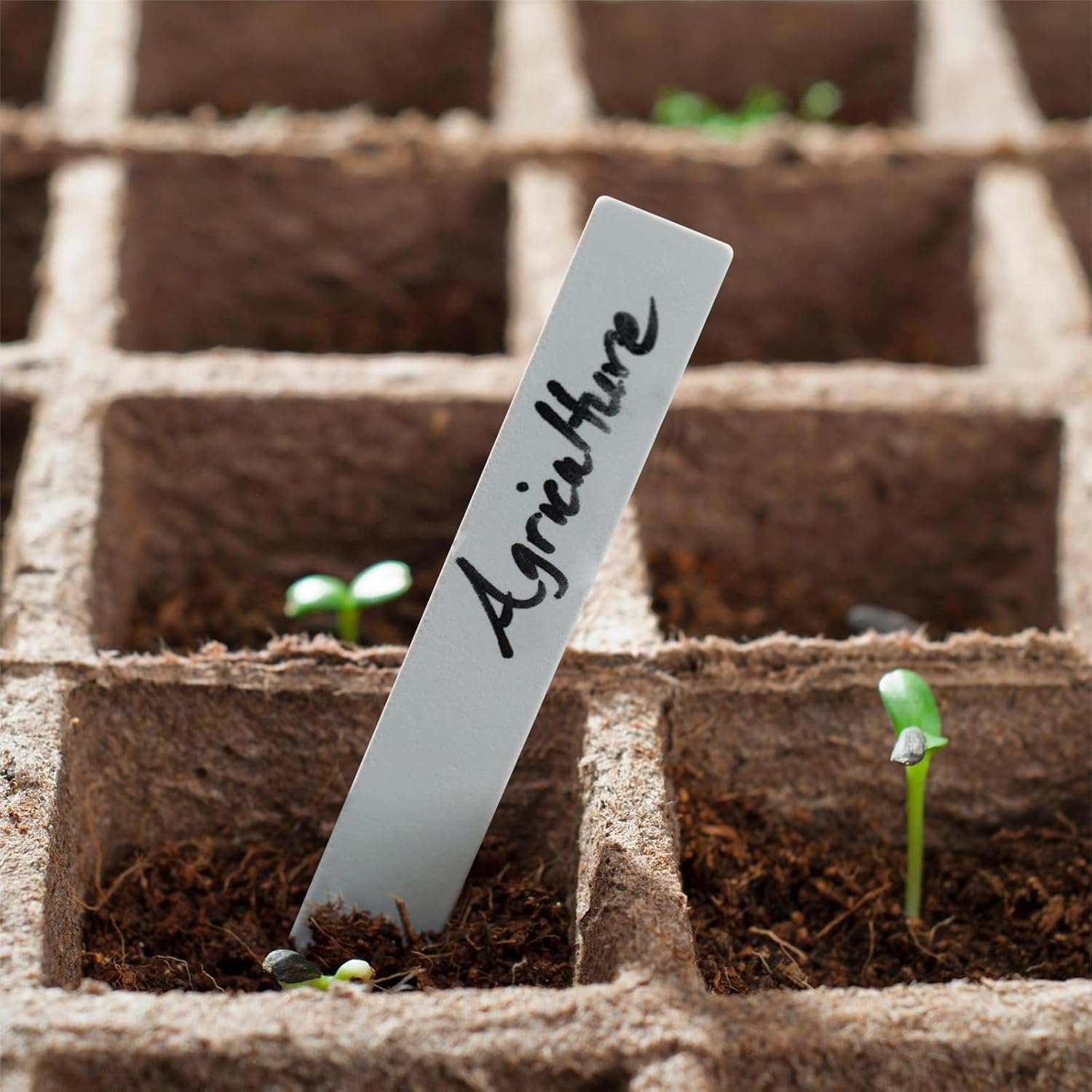300Pcs 4" Plant Labels with Marker Pen
