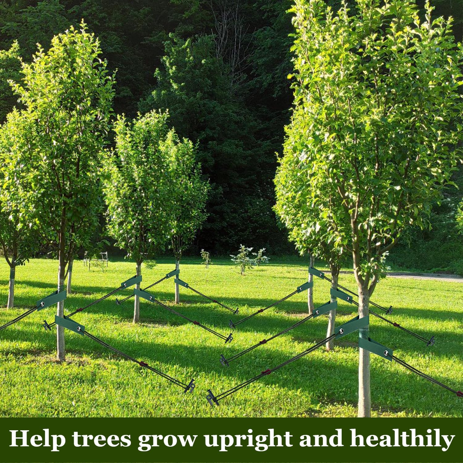 Tree Stakes and Supports