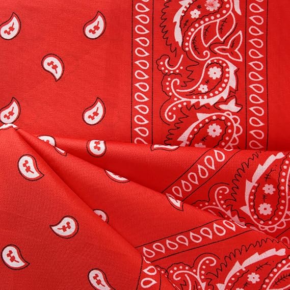 10 Pack Red Paisley Bandanas 55x55cm Polyester Headband Scarf Tie Accessories