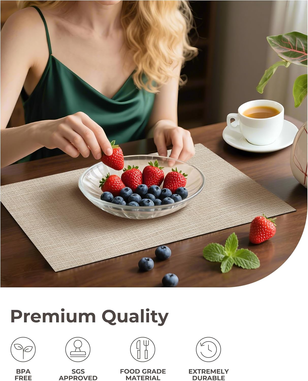 Beige Placemats Set of 6 - Heat Resistant Non-Slip Place mats for Dining Table