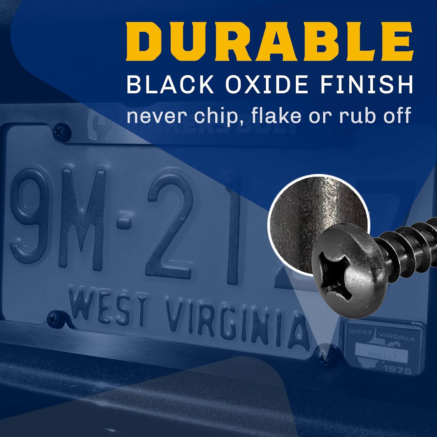 Stainless Steel Screws - Black Head