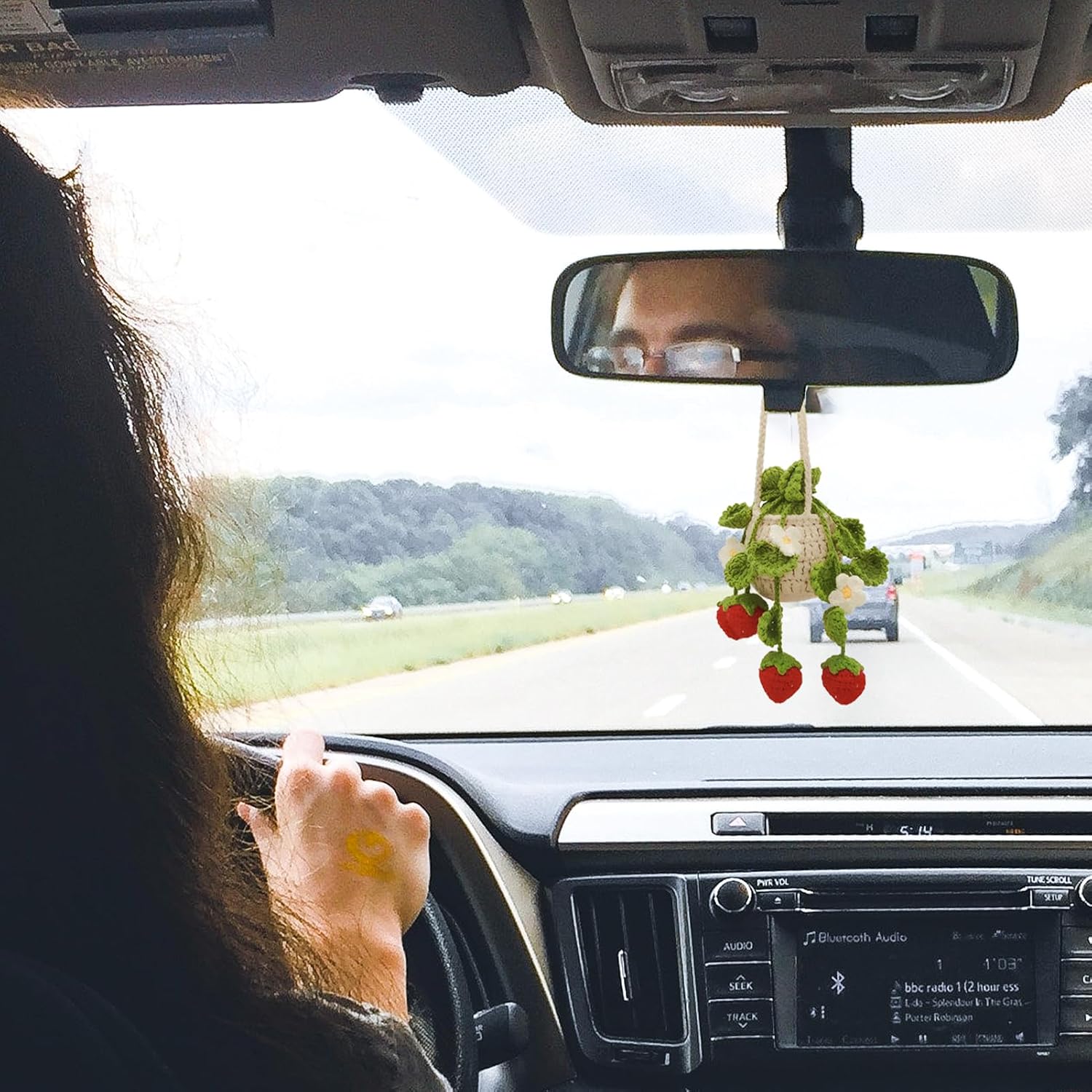 Crochet Hanging Plant for Car