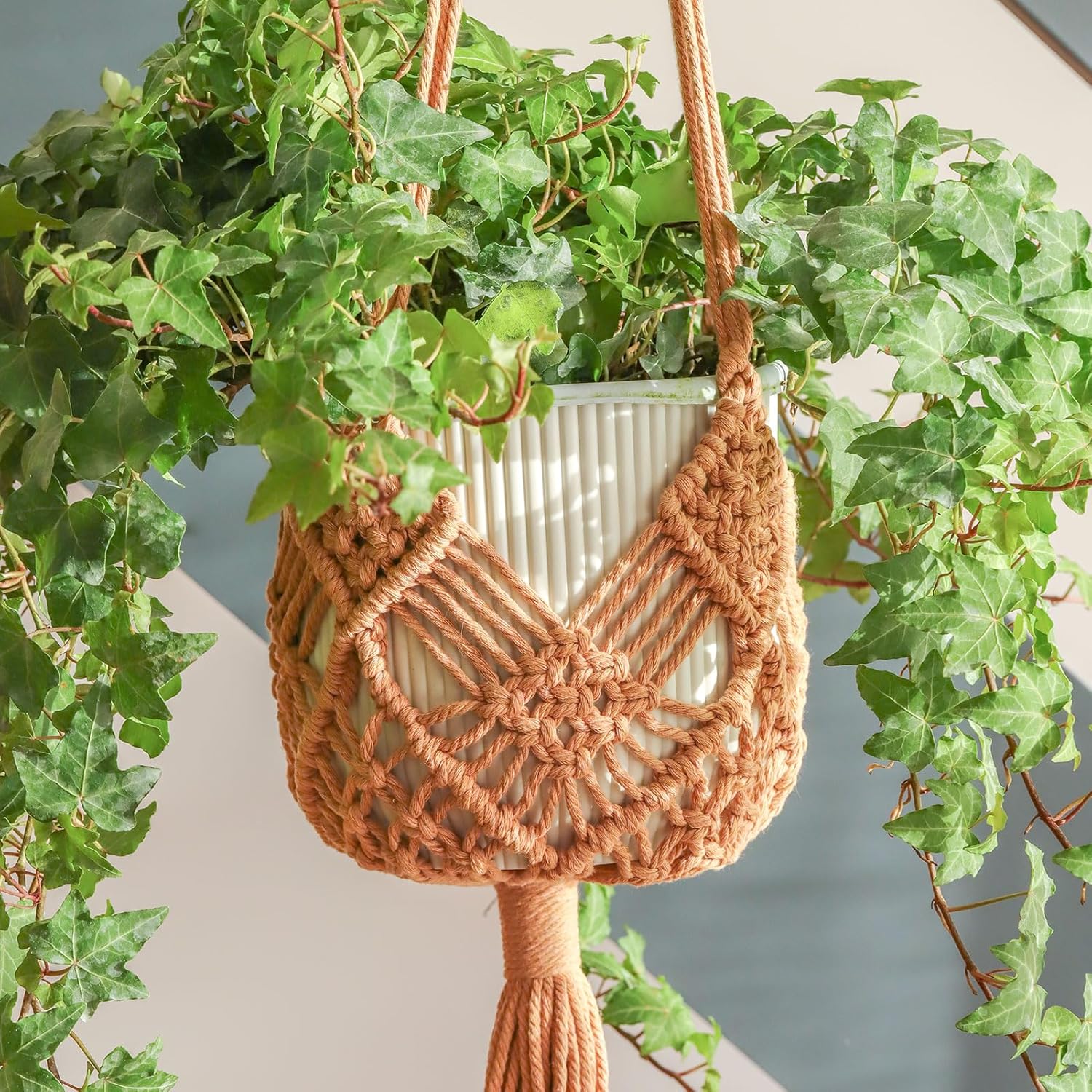 Hanging Planter with Patterns Hanging Planter with Patterns