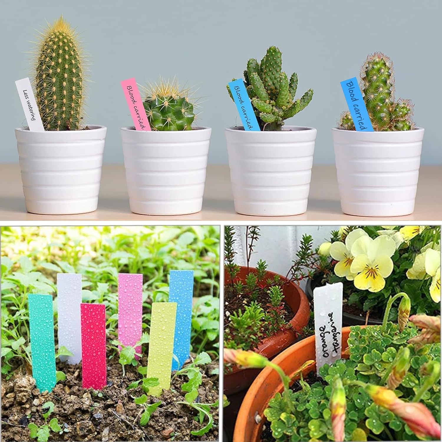 Petluno 500 pieces plant labels
