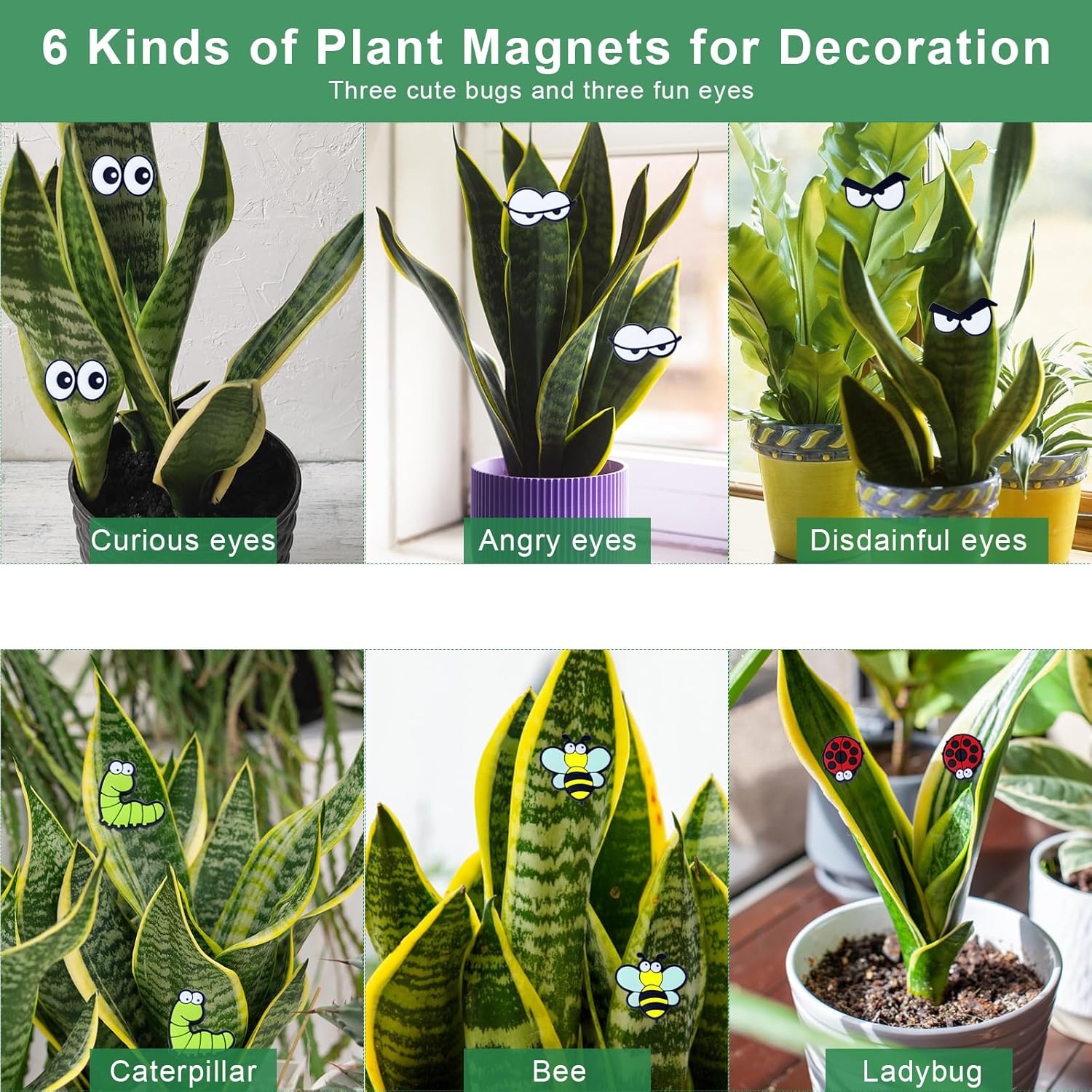Cute Plant Magnets - Funny Cartoon Eyes
