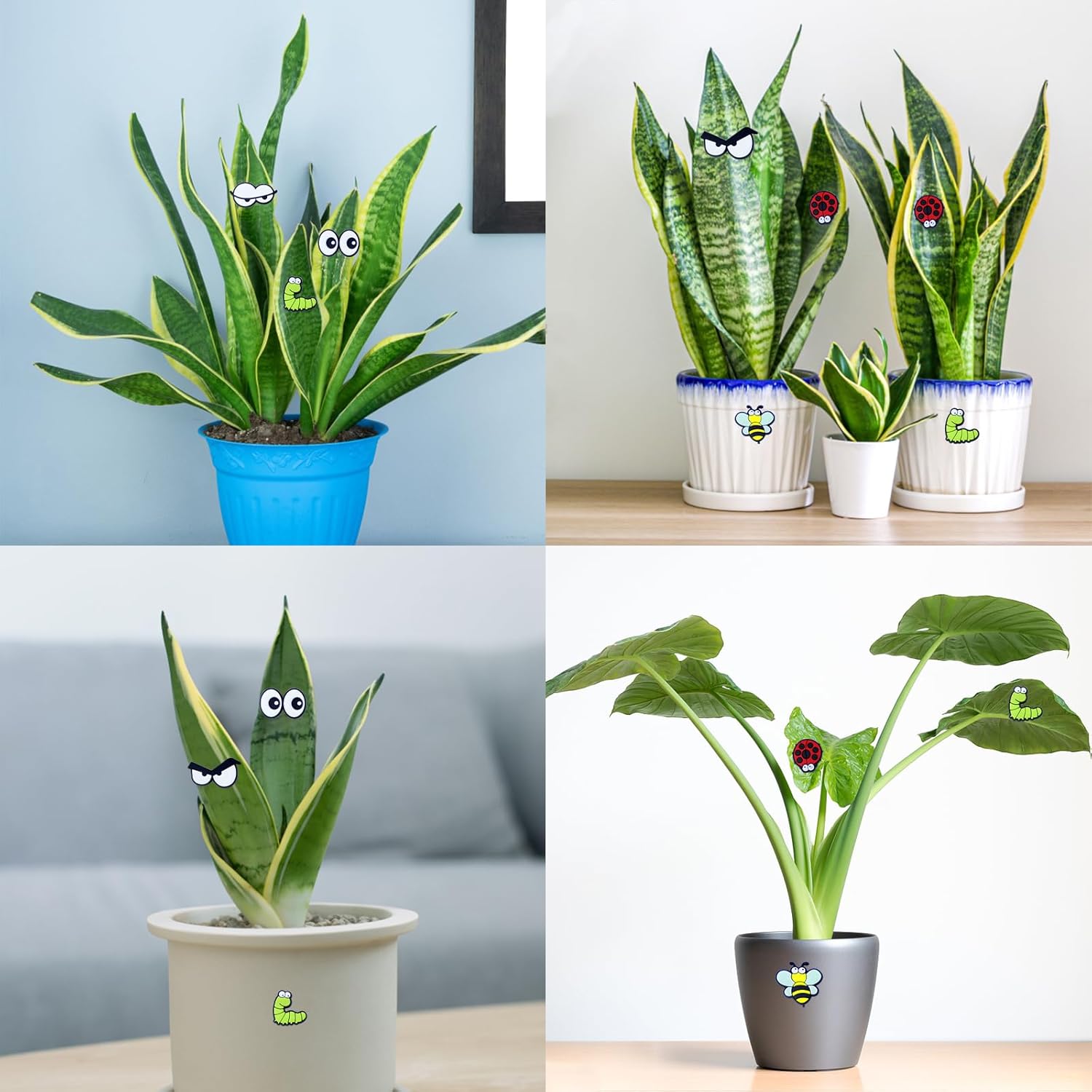 Cute Plant Magnets - Funny Cartoon Eyes