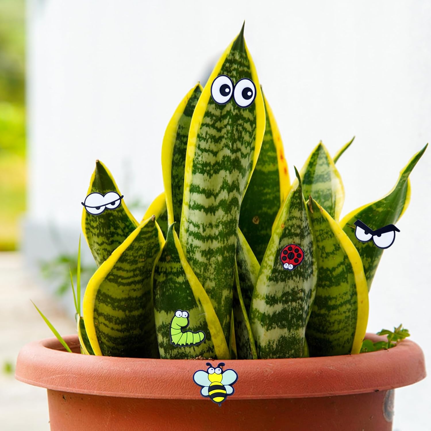 Cute Plant Magnets - Funny Cartoon Eyes