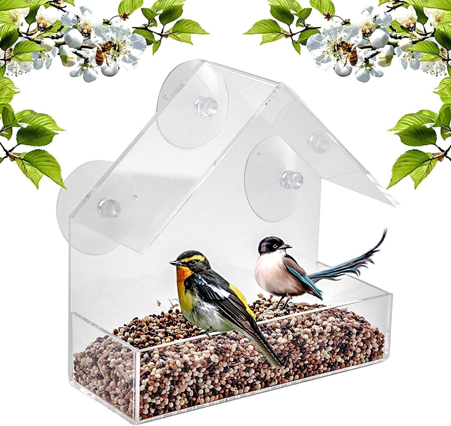 Bird Feeder Bird Feeder
