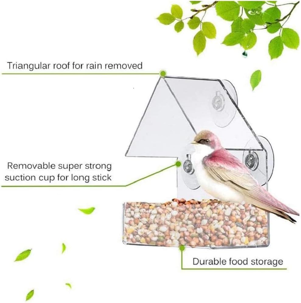 Bird Feeder