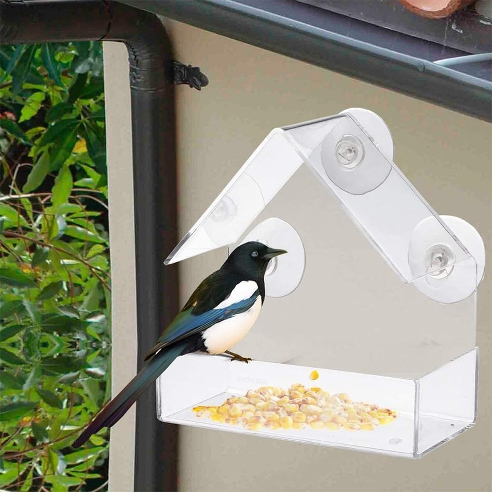 Bird Feeder