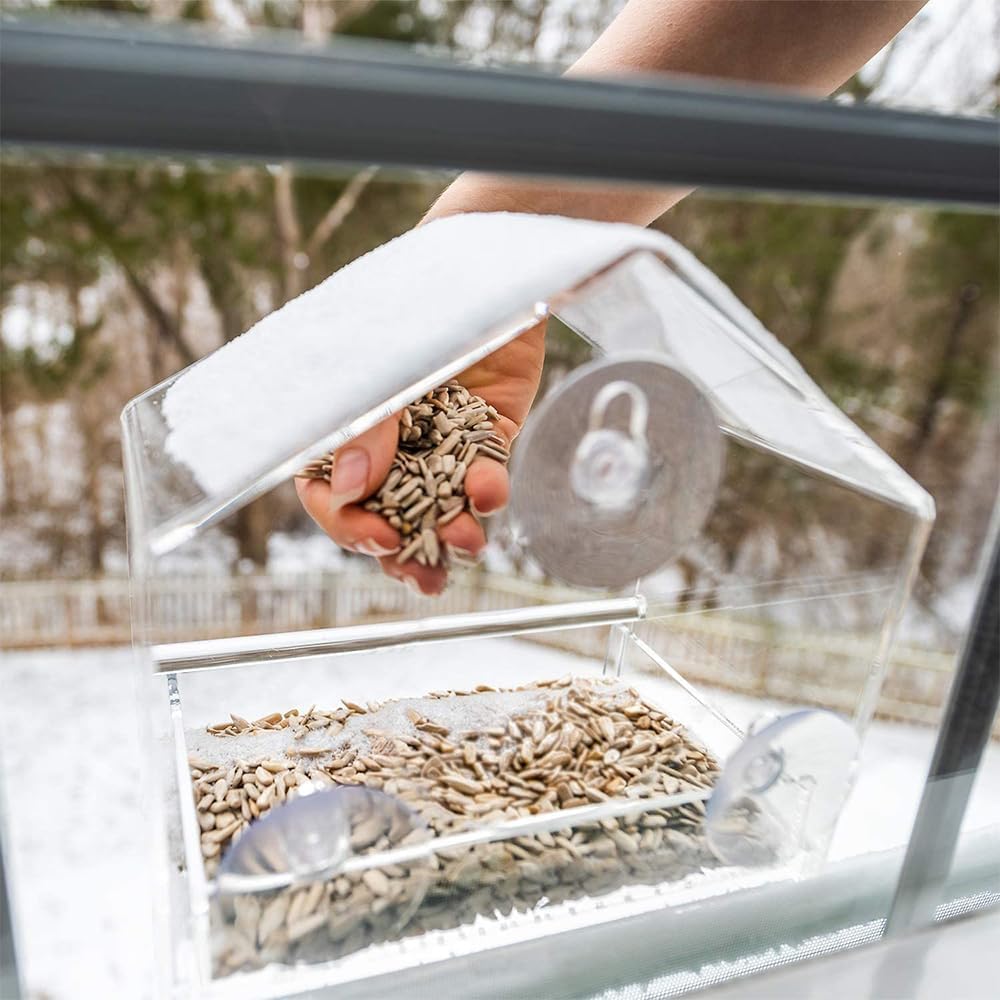 Bird Feeder