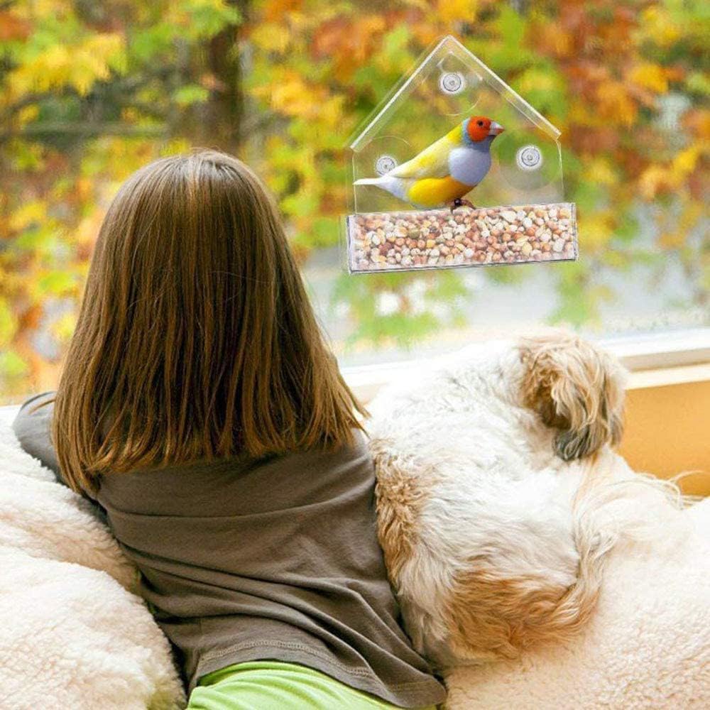 Bird Feeder