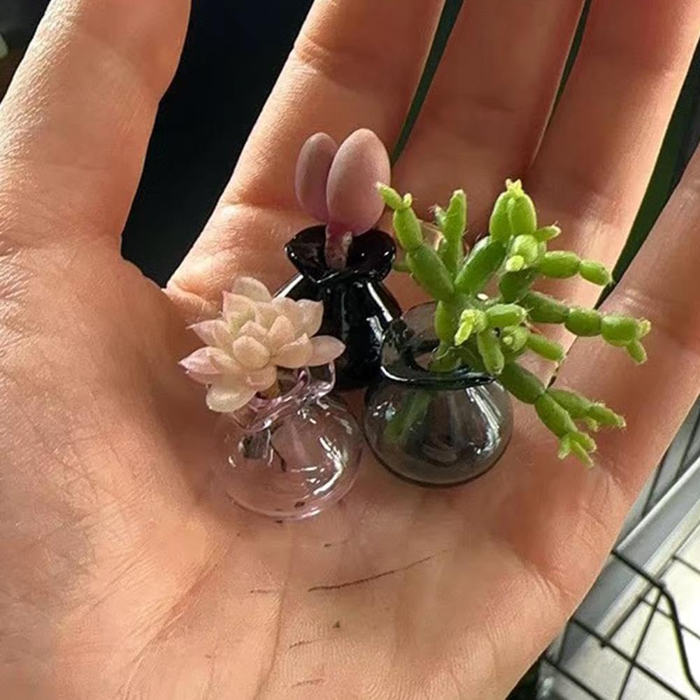 Tiny Vase for Cat Whisker