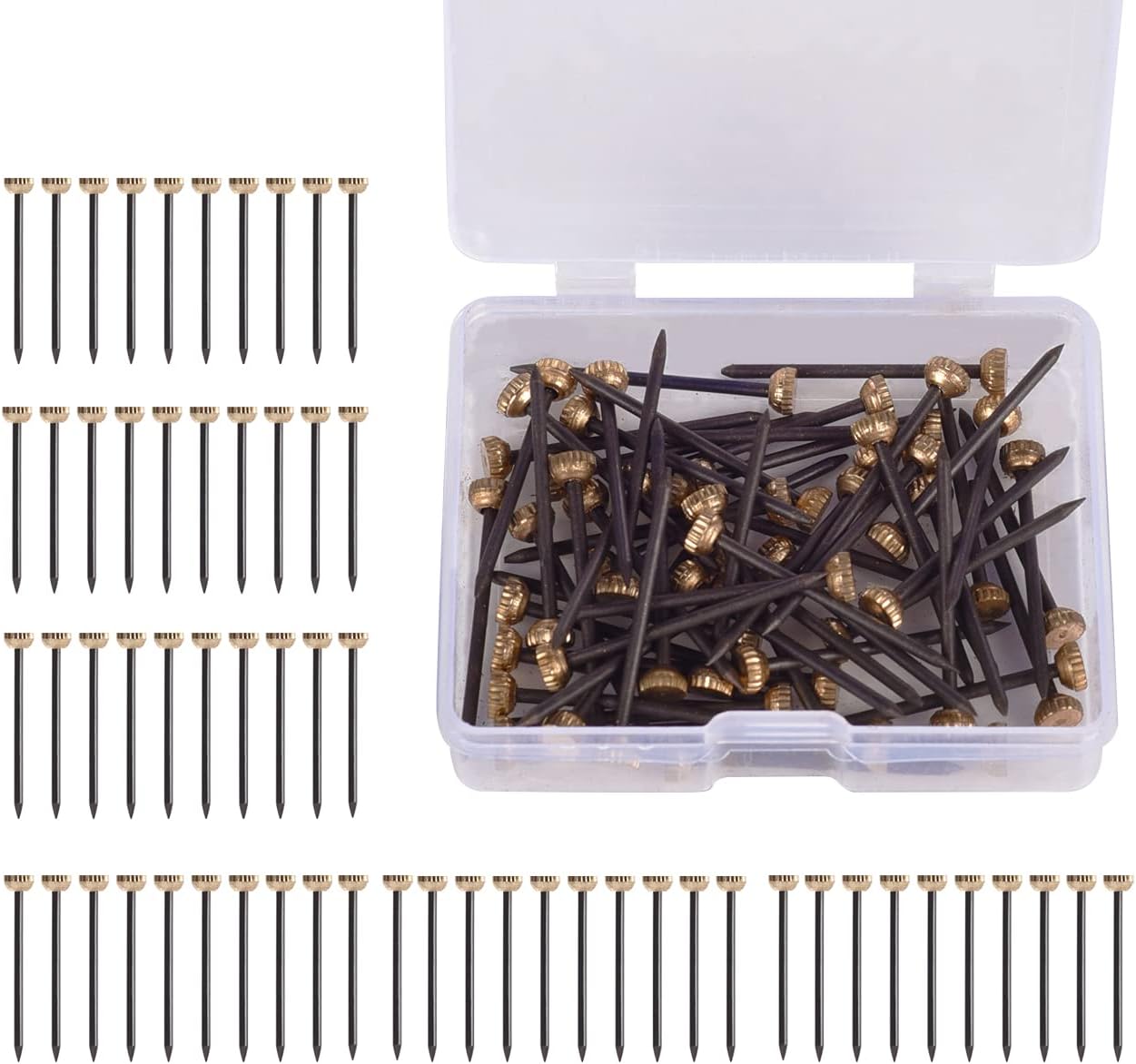 60Pcs Picture Hanging Nails 30 Lbs Brass Head Nails for Hanging 60Pcs Picture Hanging Nails 30 Lbs Brass Head Nails for Hanging