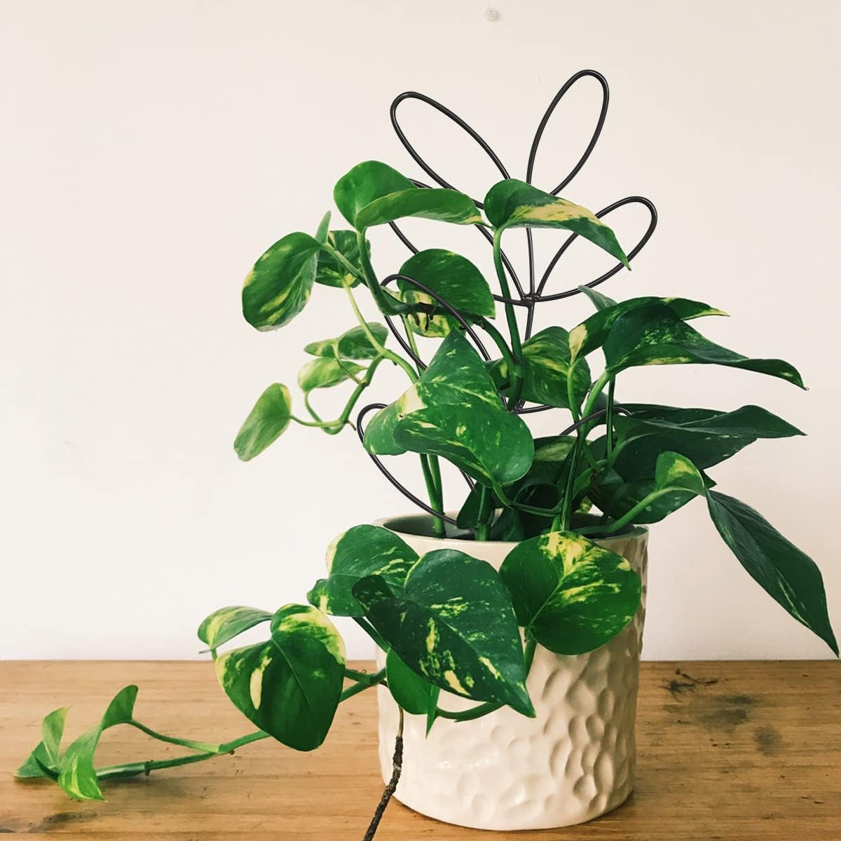 2Pack Indoor Plant Trellis Metal Wire Garden Trellis ,Small Climbing Leaf Shape Trellis for Garden Potted Plant Houseplant(Green)