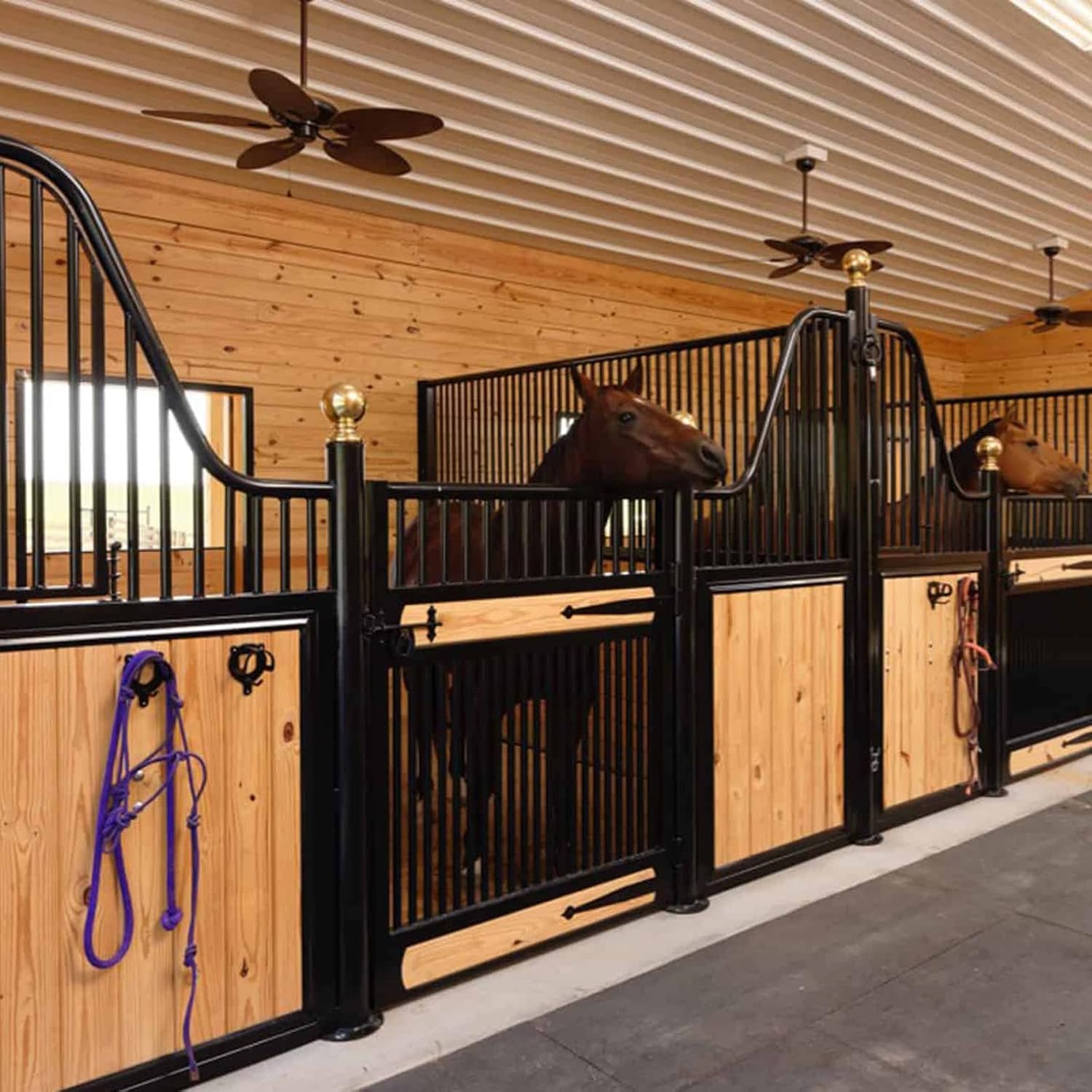 6 Counts Horse Bridle Rack Bracket Hooks Metal Halter Hanger with Tubes and Screws for Barn Supplies