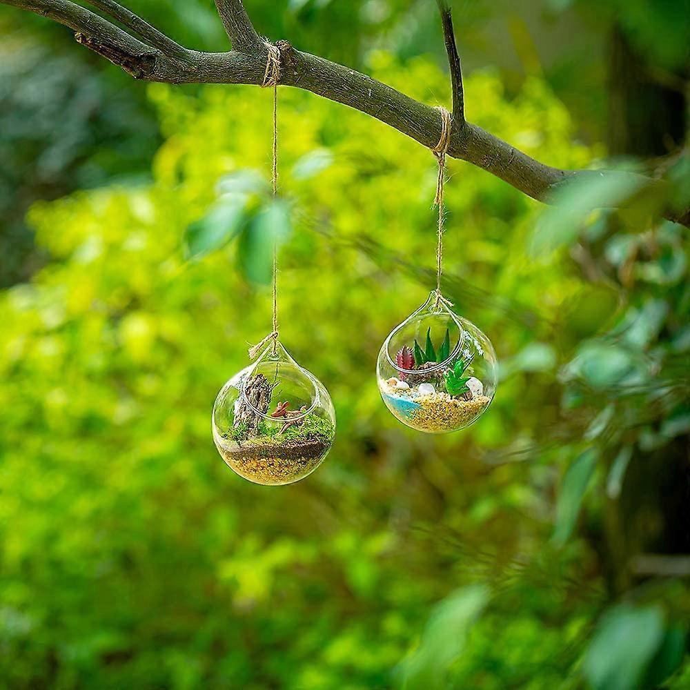 4pcs Hanging Glass Terrarium