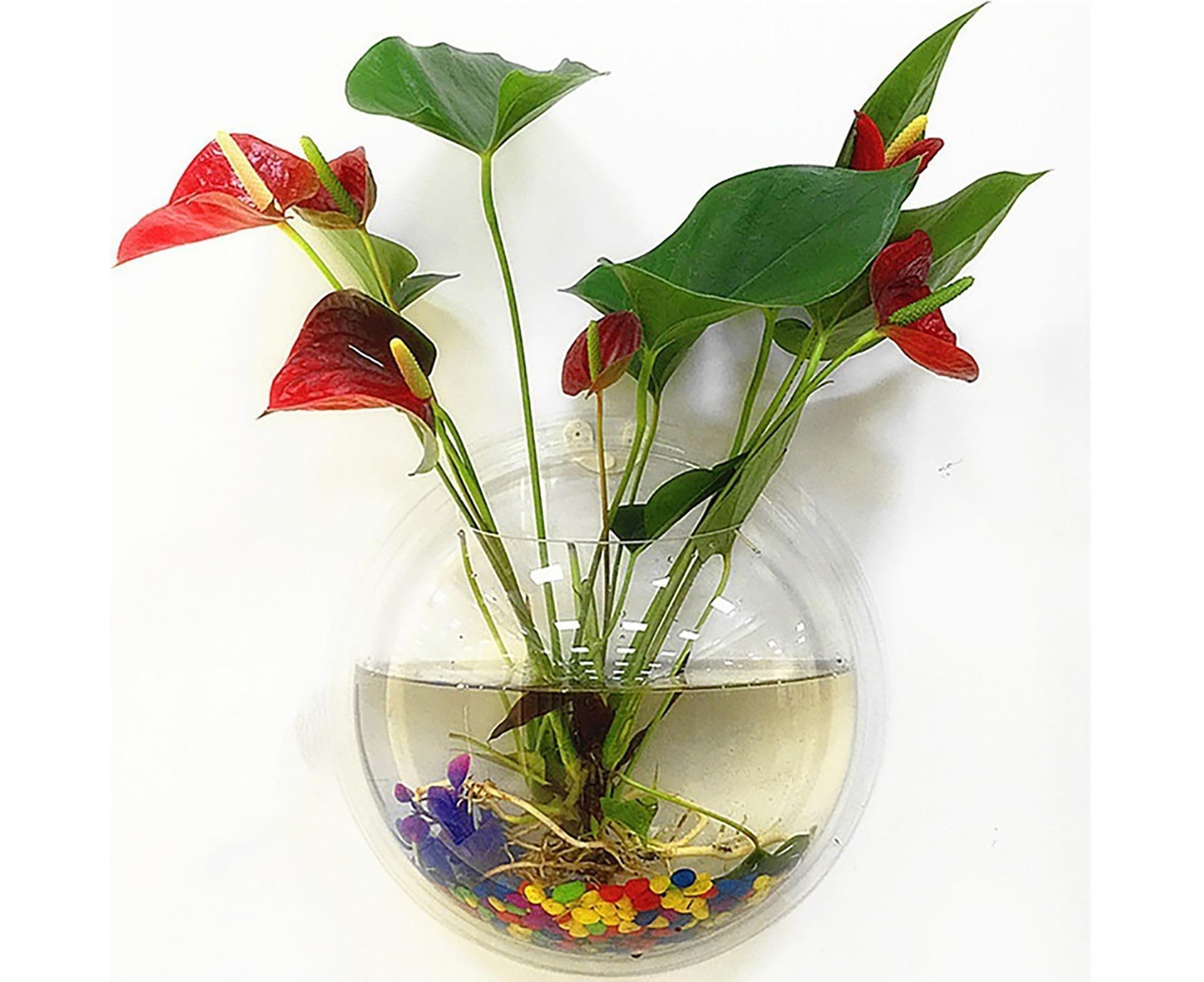 1 Set Fish Tank Decorative Wall Mounted Hanging Flower Vase-Transparent 1 Set Fish Tank Decorative Wall Mounted Hanging Flower Vase-Transparent