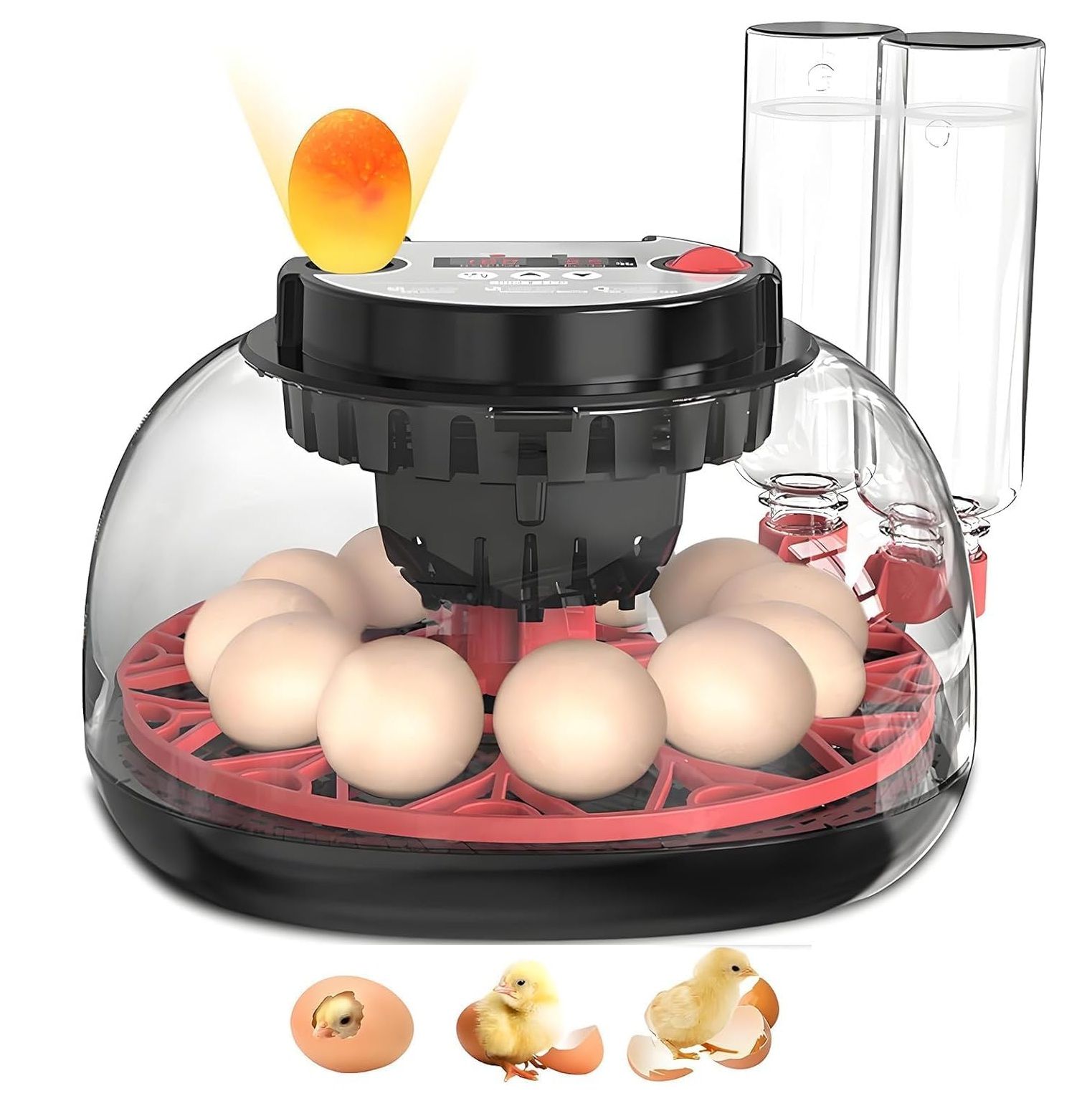 CARLA HOME 12 Egg Incubator with Automatic Turning, LED Display, Humidity & Temperature Control, Auto Water System & Built-in Egg Candler for Chicken, Duck, Quail, Goose